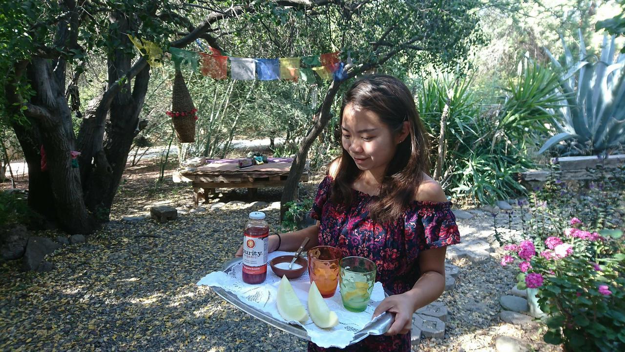 Maipo Shanti * San Jose de Maipo